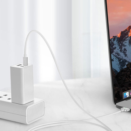 Kabel magnetyczny USB-C do MagSafe1 L MacBook 1.8m