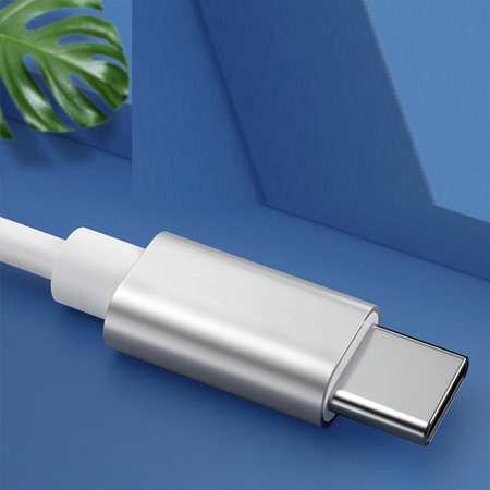 Kabel magnetyczny USB-C do MagSafe1 L MacBook 1.8m